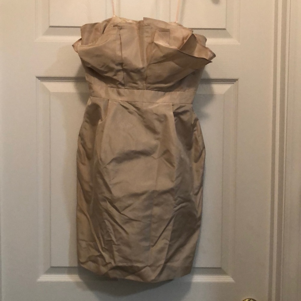 J Crew Dress